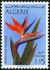 Colnect-722-317-Bird-of-paradise-Strelitzia-reginae.jpg