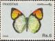 Colnect-2058-357-Yellow-Orange-Tip-Ixias-pyrene-.jpg