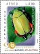 Colnect-3742-033-Jewel-Scarab-Beetle-Chrysina-cavei.jpg