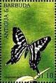 Colnect-4123-039-Graphium-policenes.jpg