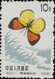 Colnect-487-261-Yellow-Orange-Tip-Ixias-pyrene.jpg