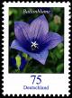 Colnect-5191-626-Platycodon-grandiflorus---Balloon-flower.jpg