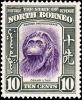 Colnect-2711-528-Bornean-Orang-utan-Pongo-pygmaeus.jpg