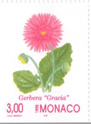 Colnect-149-805-Gerbera---Gracia--.jpg