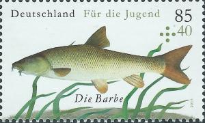 Colnect-2874-343-Barbel-Barbus-barbus.jpg