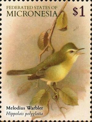 Colnect-5782-022-Melodious-Warbler---Hippolais-polyglotta.jpg