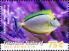 Colnect-5812-657-Barcheek-unicornfish.jpg