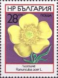 Colnect-3731-741-Buttercup-Ranunculus-acris.jpg