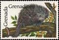 Colnect-6014-135-Brazilian-Porcupine-Coendou-prehensilis.jpg