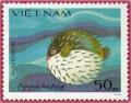 Colnect-990-889-Spot-fin-Porcupinefish-Diodon-hystrix.jpg