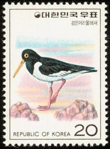 Colnect-2194-501-Eurasian-Oystercatcher-Haematopus-ostralegus.jpg