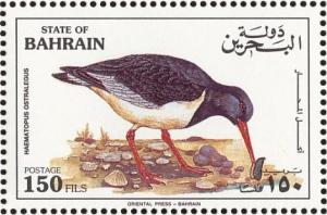 Colnect-1463-917-Eurasian-Oystercatcher-Haematopus-ostralegus.jpg