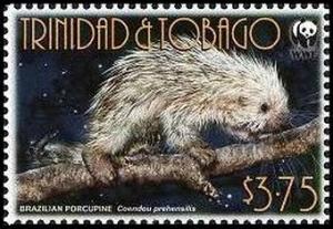 Colnect-2595-056-Brazilian-Porcupine-Coendou-prehensilis.jpg