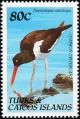 Colnect-1764-366-Eurasian-Oystercatcher-Haematopus-ostralegus.jpg