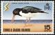 Colnect-2847-866-Eurasian-Oystercatcher-Haematopus-ostralegus.jpg