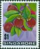 Colnect-444-294-Garcinia-mangostana.jpg