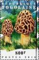 Colnect-4882-544-Morchella-esculenita.jpg