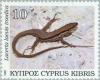 Colnect-178-329-Lebanon-Lizard-Lacerta-laevis-troodica.jpg