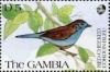 Colnect-2382-216-Red-cheeked-Cordonbleu-Uraeginthus-bengalus.jpg