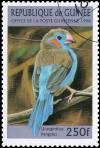 Colnect-3549-471-Red-cheeked-Cordon-bleu-Uraeginthus-bengalus.jpg