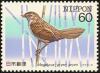 Colnect-608-844-Marsh-Grassbird-Megalurus-pryeri-pryeri-.jpg