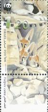 Colnect-777-097-Blanford-s-Fox-Vulpes-cana.jpg