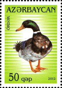 Colnect-1603-777-Mallard-Anas-platyrhynchos.jpg