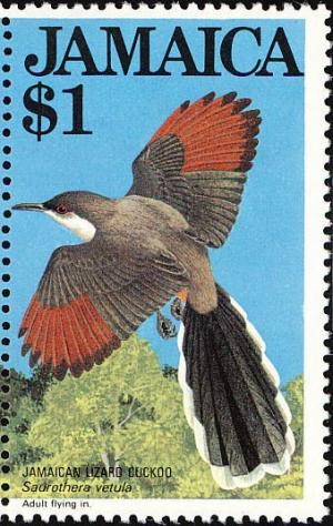 Colnect-1700-667-Jamaican-Lizard-Cuckoo-Saurothera-vetula-.jpg