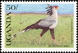 Colnect-1715-769-Secretarybird-Sagittarius-serpentarius.jpg