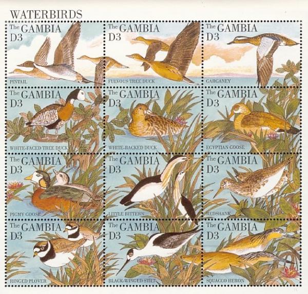 Colnect-1721-735-Waterbirds---Mini-Sheet-of-12.jpg