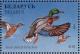 Colnect-1398-306-Mallard-Anas-platyrhynchos.jpg