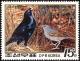 Colnect-1614-801-Satin-Bowerbird%C2%A0Ptilonorhynchus-violaceus.jpg