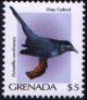 Colnect-4178-514-Grey-Catbird-Dumetella-carolinensis.jpg