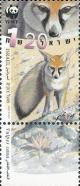 Colnect-777-096-Blanford-s-Fox-Vulpes-cana.jpg