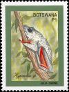 Colnect-1218-083-African-Reed-Frog-Hyperolius-sp.jpg