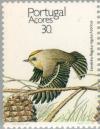 Colnect-186-485-Sao-Miguel-Goldcrest-Regulus-regulus-azoricus-.jpg