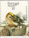 Colnect-186-486-Sao-Miguel-Goldcrest-Regulus-regulus-azoricus-.jpg