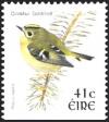 Colnect-1886-897-Goldcrest-Regulus-regulus.jpg