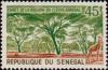 Colnect-1990-835-Forest-Region-of-Senegal-River.jpg