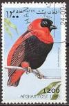 Colnect-2045-734-Southern-Red-Bishop-Euplectes-orix.jpg