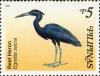 Colnect-2859-103-Pacific-Reef-Heron-Egretta-sacra.jpg