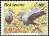 Colnect-3453-875-Slaty-Egret-Egretta-vinaceigula.jpg