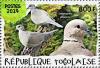 Colnect-5646-466-Eurasian-Collared-Dove-Streptopelia-decaocto.jpg