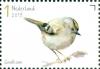 Colnect-5837-643-Goldcrest-Regulus-regulus.jpg