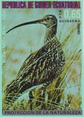 Colnect-1442-841-Whimbrel-Numenius-phaeopus.jpg