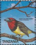 Colnect-1745-631-Black-collared-Barbet-Lybius-torquatus.jpg