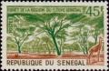 Colnect-1990-835-Forest-Region-of-Senegal-River.jpg