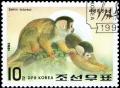 Colnect-3524-664-Common-Squirrel-Monkey-Saimiri-sciureus.jpg