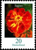 Colnect-5200-227-Tagetes-erecta---African-Marigold.jpg