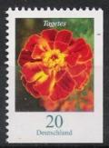 Colnect-580-103-Tagetes-erecta---African-Marigold.jpg